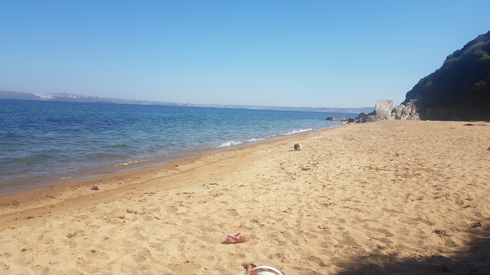 Foto di Tanasa Sahil beach con una superficie del sabbia marrone