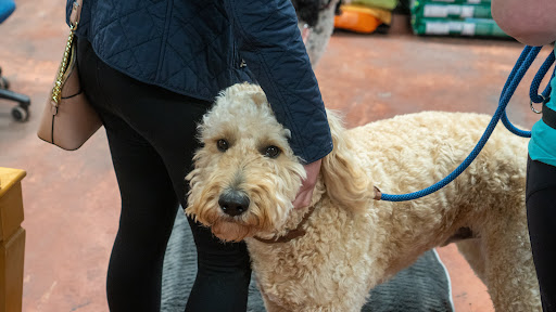 Pet Supply Store «Wags To Wiskers Pet Supplies», reviews and photos, 2423 W Stadium Blvd, Ann Arbor, MI 48103, USA