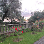 Photo n°1 de l'avis de Elena.a fait le 03/06/2023 à 18:43 sur le  Villa Appia Events à Marino