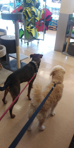 Pet Supply Store «Petco Animal Supplies», reviews and photos, 239 Newburyport Turnpike, Topsfield, MA 01983, USA