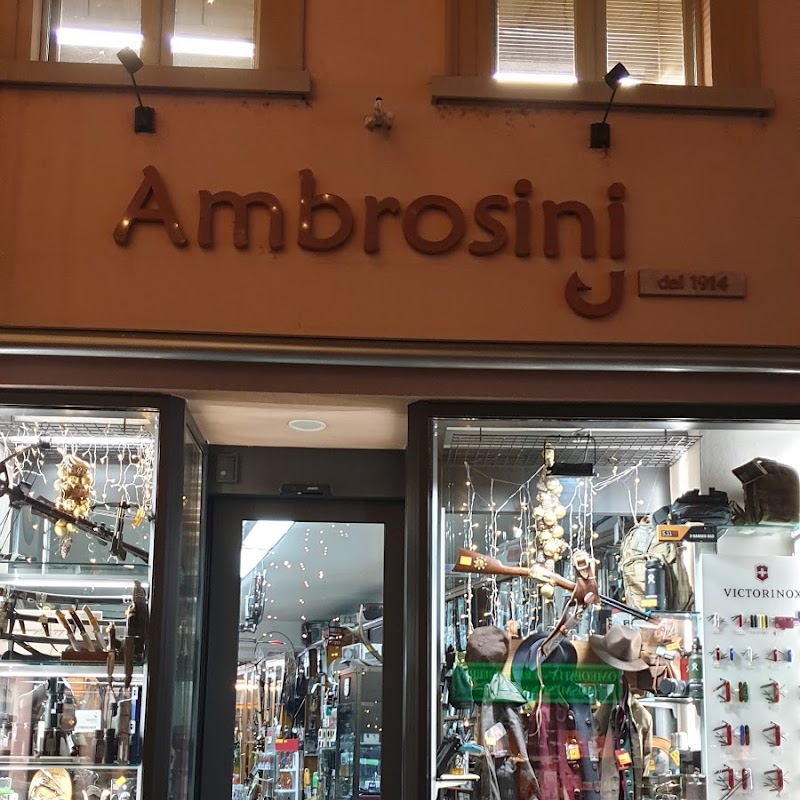 Ambrosini Lugano Sagl