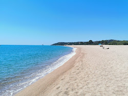 Foto di Plage de L'Ovu Santu con costa lunga e dritta