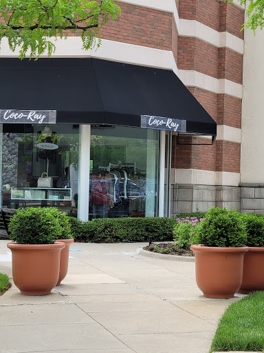 Shopping Mall «Village Of Rochester Hills», reviews and photos, 104 Adams Rd, Rochester, MI 48309, USA