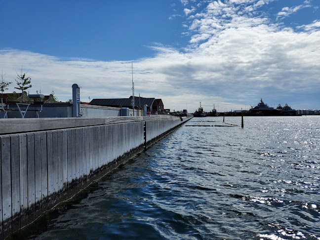 Anmeldelser af Kalundborg Bynær Havnepark i Kalundborg - Anlægsgartner