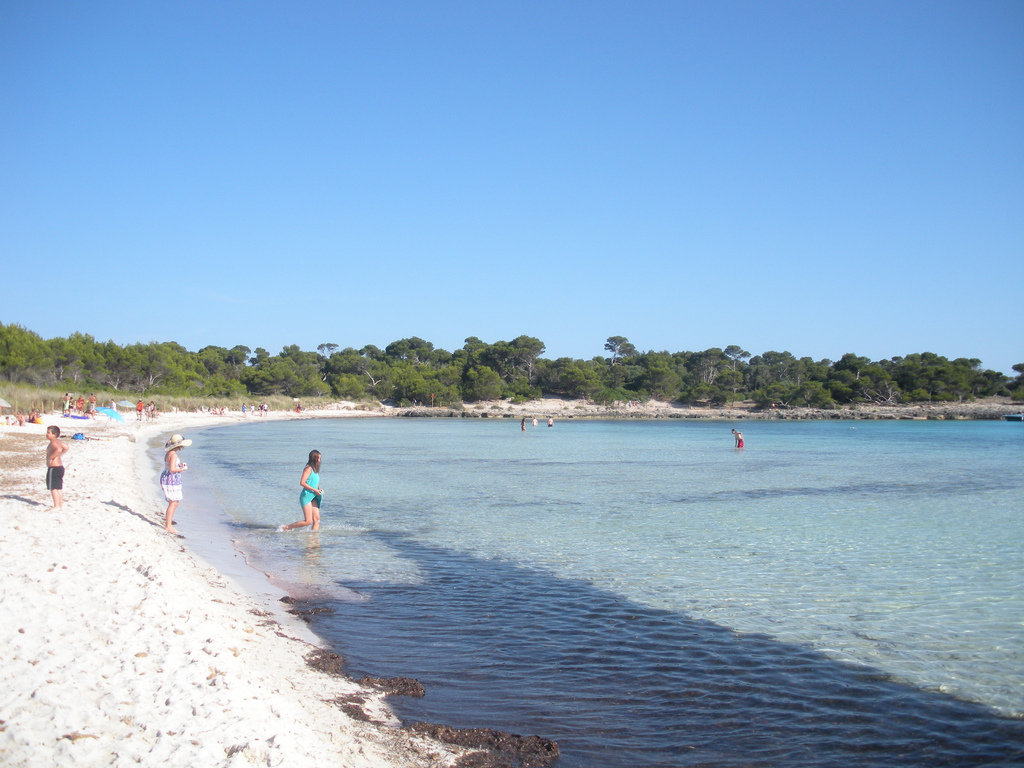 Fotografija Platja de Son Saura nahaja se v naravnem okolju