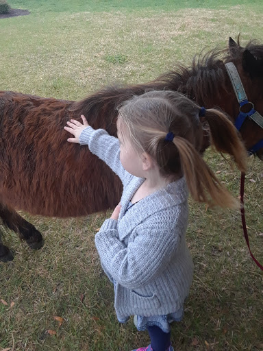 Art Museum «Chrysler Museum of Art», reviews and photos, 1 Memorial Pl, Norfolk, VA 23510, USA