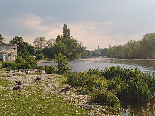 Wokingham Waterside Centre