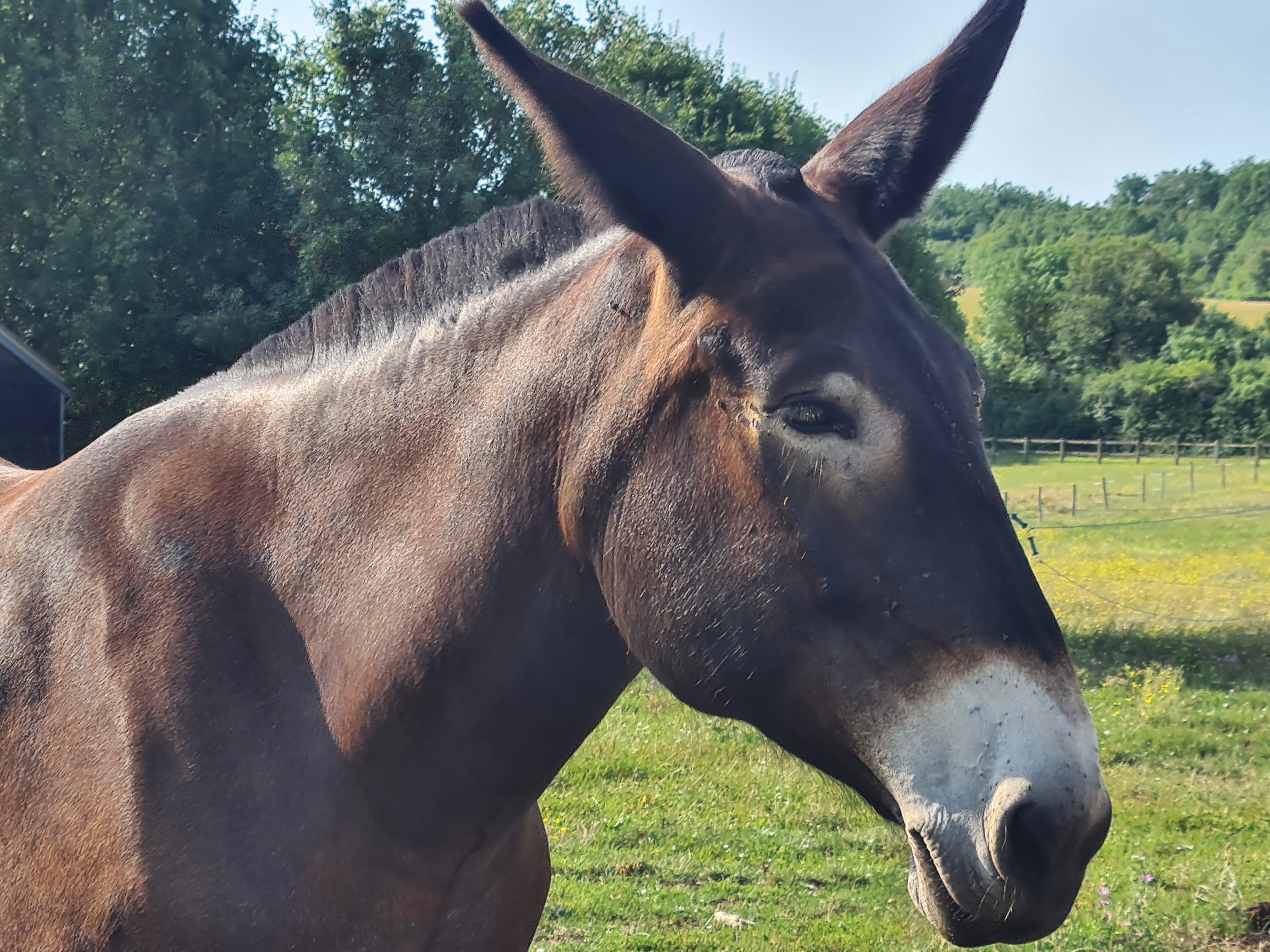 Photo n° 6 de l'avis de Sam.a fait le 08/07/2023 à 20:46