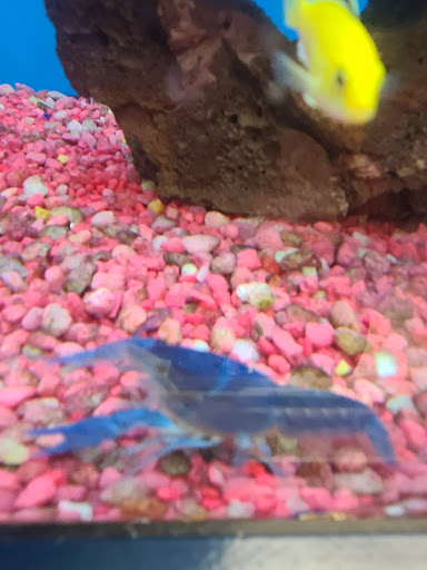 Pet Supply Store «Petco Animal Supplies», reviews and photos, 3680 Spencer Hwy, Pasadena, TX 77504, USA