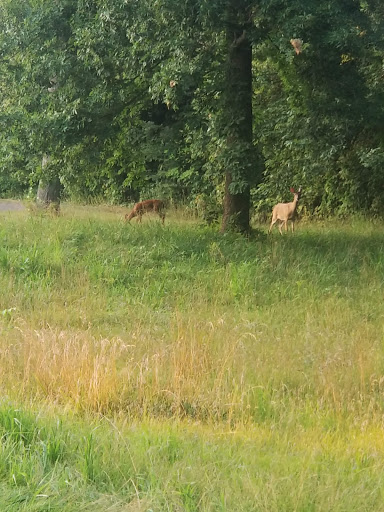 Golf Course «Wildcat Creek Golf Course», reviews and photos, 3200 Timber Valley Dr, Kokomo, IN 46902, USA