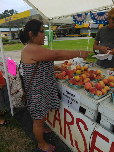 Used Car Dealer «CarMax», reviews and photos, 2756 Ross Clark Cir, Dothan, AL 36301, USA