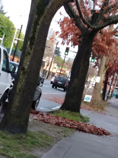 Park «Genesee Park and Playfield», reviews and photos, 4316 S Genesee St, Seattle, WA 98118, USA