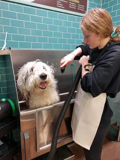 Pet Supply Store «Premier Pet Supply», reviews and photos, 31215 Southfield Rd, Beverly Hills, MI 48025, USA