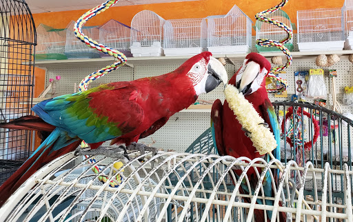 Pet Store «Louis Birds Pets & Supplies», reviews and photos, 80 Keyes St, San Jose, CA 95122, USA