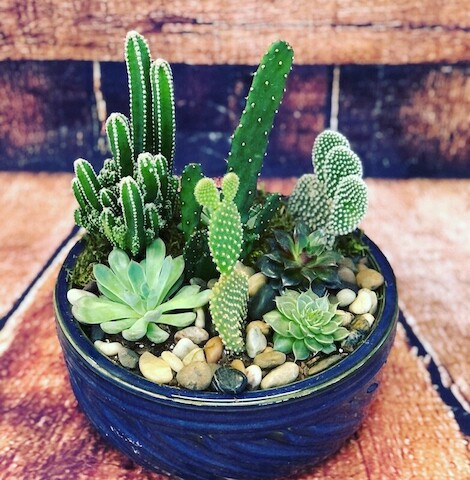 Florist «Hilldale Florist», reviews and photos, 1946 Madison St, Clarksville, TN 37043, USA