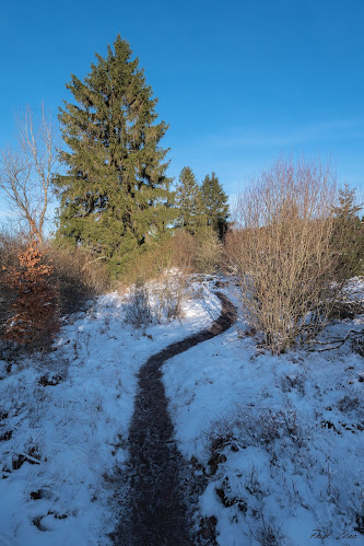 Unnamed Road, 4700 Eupen, België