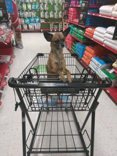 Pet Supply Store «Petco Animal Supplies», reviews and photos, 12014 SW 88th St, Miami, FL 33186, USA