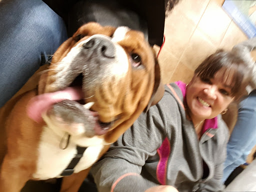 Pet Supply Store «PetSmart», reviews and photos, 187 Millburn Ave, Millburn, NJ 07041, USA