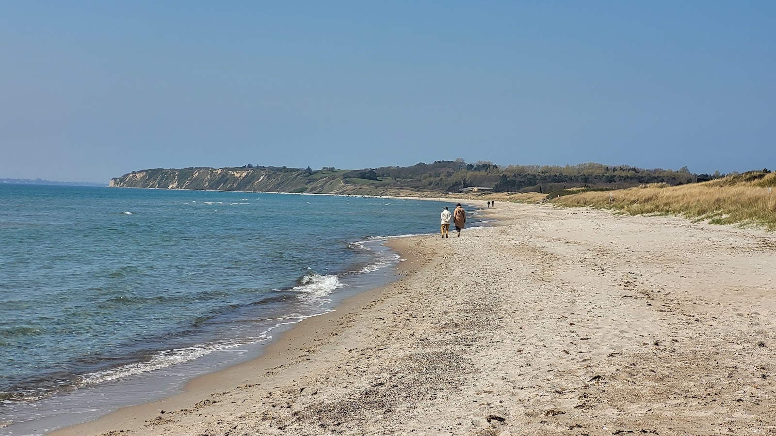 Zdjęcie Bjornhoj Beach z powierzchnią beżowy piasek