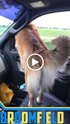 Stadium «Coors Field», reviews and photos, 2001 Blake St, Denver, CO 80205, USA