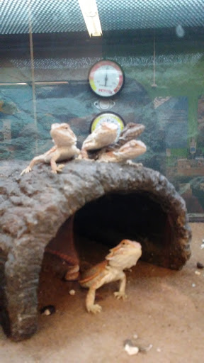 Pet Supply Store «Petco Animal Supplies», reviews and photos, 264 Dillon Ridge Way, Dillon, CO 80435, USA