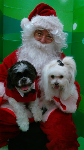 Pet Supply Store «Petco Animal Supplies», reviews and photos, 645 S Green Valley Pkwy, Henderson, NV 89052, USA