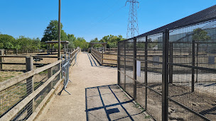 Photo n°18 de Ferme Pédagogique - Serres Municipales à Rosny-sous-Bois ()