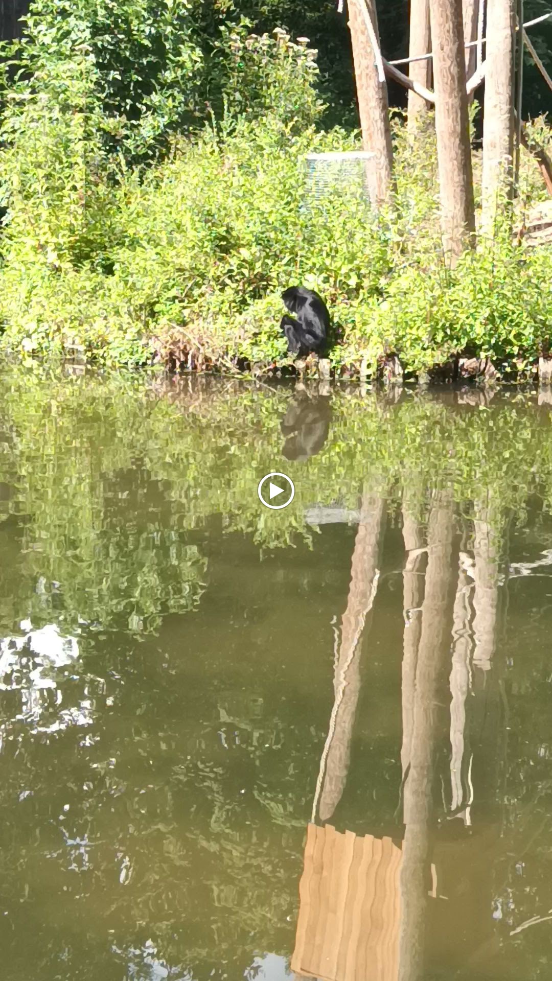 Photo n° 5 de l'avis de Fatiha.u fait le 04/08/2023 à 17:52