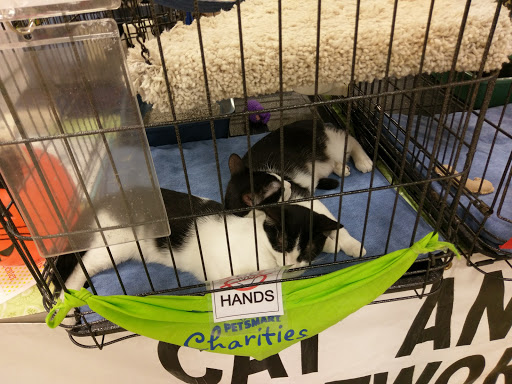 Pet Supply Store «PetSmart», reviews and photos, 1010 E Lancaster Ave, Downingtown, PA 19335, USA