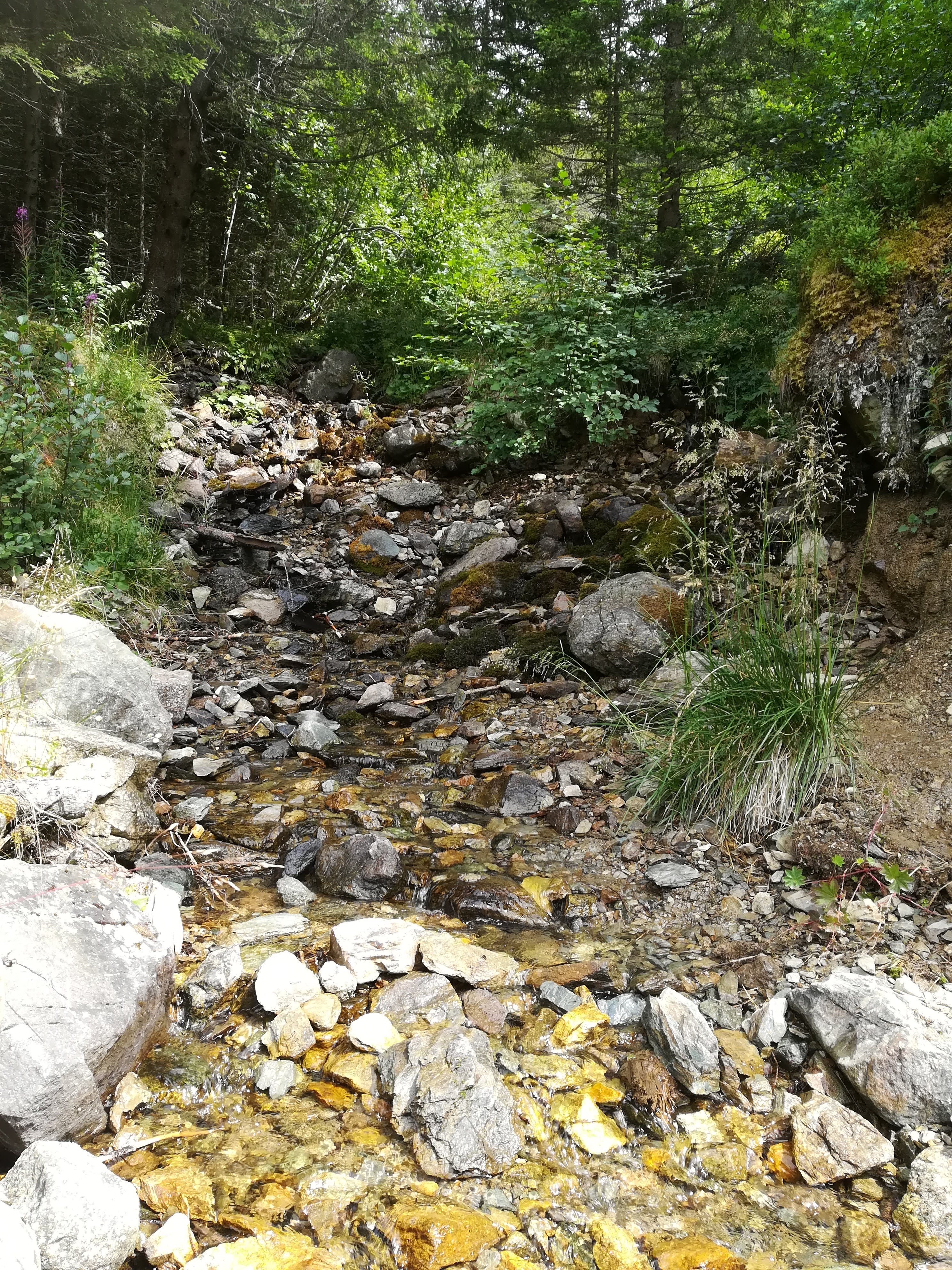 Photo n° 13 de l'avis de Valérie.h fait le 27/08/2019 à 21:35