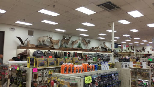 Sporting Goods Store «Kames Sports», reviews and photos, 8516 Cleveland Ave NW, North Canton, OH 44720, USA