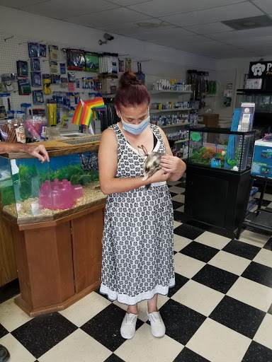 Tropical Fish Store «D-N-D Aquariums & Pet Shop», reviews and photos, 1016 S Armstrong Ave # 103, Denison, TX 75020, USA