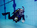 Best Scuba Diving Lessons Stockport Near You