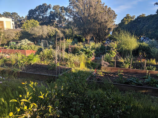 The Little Red Hen Community Garden