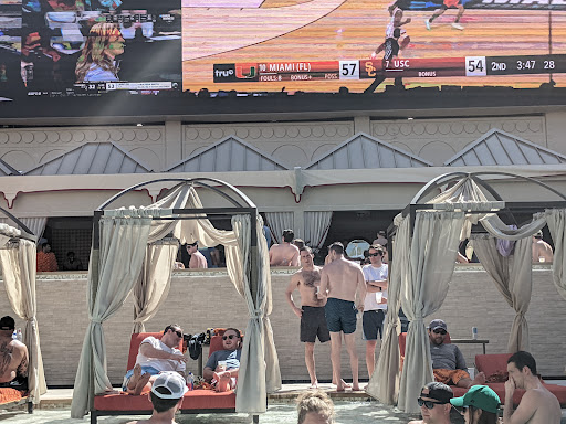 Night Club «Foxtail Pool», reviews and photos, 2535 S Las Vegas Blvd, Las Vegas, NV 89109, USA