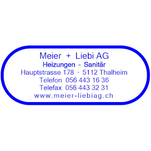 Kommentare und Rezensionen über Meier + Liebi AG