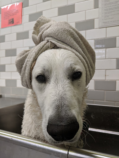 Pet Supply Store «Unleashed by Petco», reviews and photos, 2650 5th St b, Alameda, CA 94501, USA