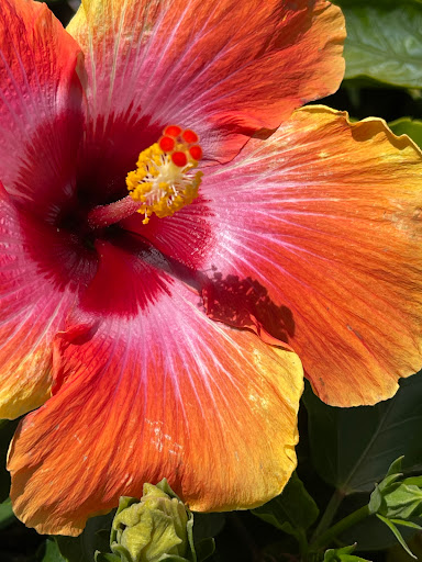 Home Improvement Store «The Home Depot», reviews and photos, 745 S Val Vista Dr, Gilbert, AZ 85296, USA