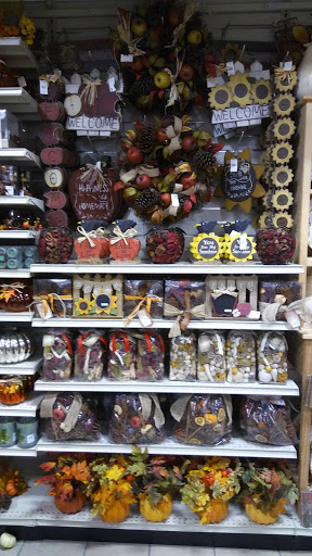 Home Goods Store «Christmas Tree Shops», reviews and photos, 13361 Hall Rd, Utica, MI 48315, USA