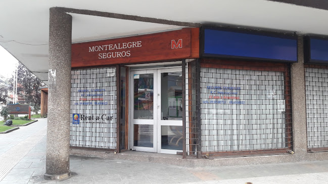 Seguros Montealegre