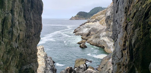 Tourist Attraction «Sea Lion Caves», reviews and photos, 91560 US-101, Florence, OR 97439, USA