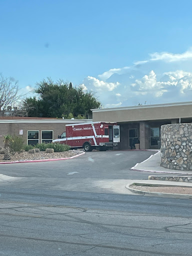 Dominion Ambulance L.L.C.