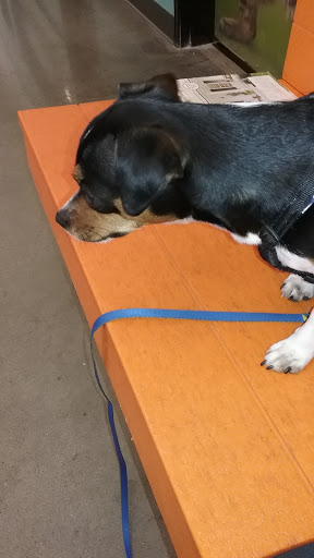 Pet Supply Store «PetSmart», reviews and photos, 1417 W Interstate 240 Service Rd, Oklahoma City, OK 73159, USA