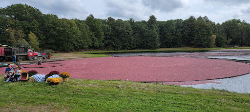 Nature Preserve «The Nature Trail and Cranberry Bog», reviews and photos, 252 Patriot Pl, Foxborough, MA 02035, USA