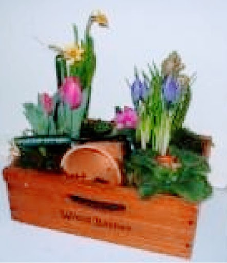 Florist «Designs by Doe Specialty Florist and Gifts», reviews and photos, 1595 W 5th Ave, Columbus, OH 43212, USA