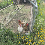 Photo n°3 de l'avis de Vins.e fait le 20/06/2022 à 22:31 sur le  Casa Fernanda à Casone