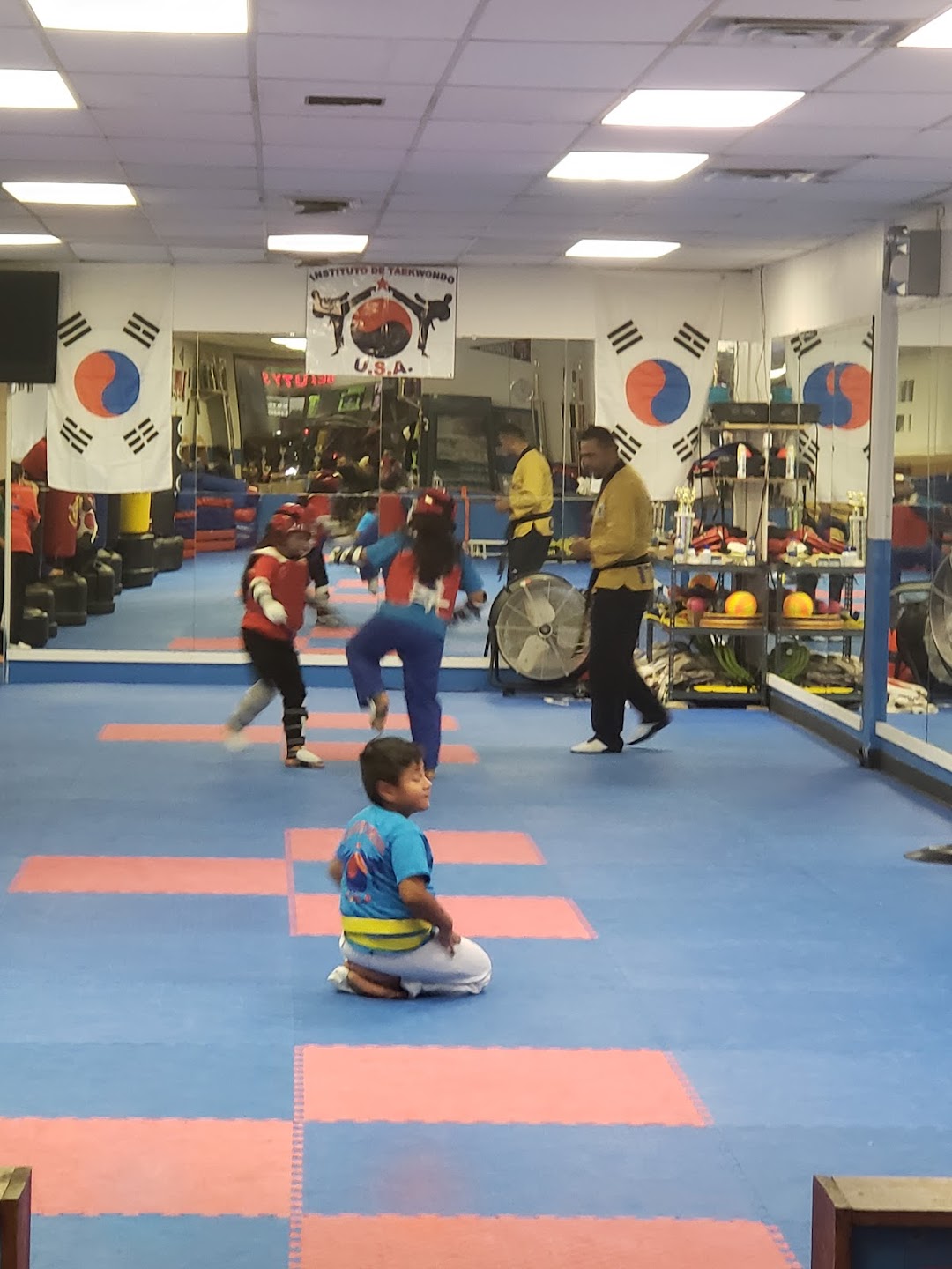 Instituto de Taekwondo USA