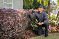 Bug Out - Photo 2 - Car repair in Jacksonville, FL, Jacksonville