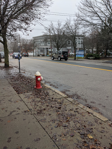 Grocery Store «Star Market», reviews and photos, 2040 Commonwealth Avenue, Auburndale, MA 02466, USA