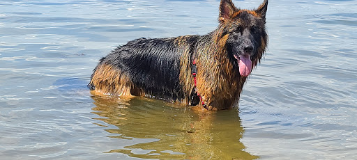 Nature Preserve «Welwyn Preserve», reviews and photos, 100 Crescent Beach Rd, Glen Cove, NY 11542, USA